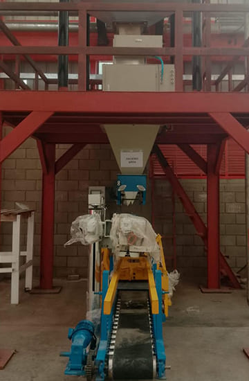Bagging 5 360 x 550 Compressed